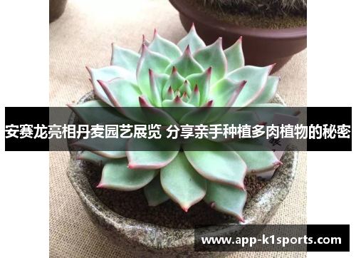 安赛龙亮相丹麦园艺展览 分享亲手种植多肉植物的秘密 安赛龙亮相丹麦园艺展览 分享亲手种植多肉植物的秘密