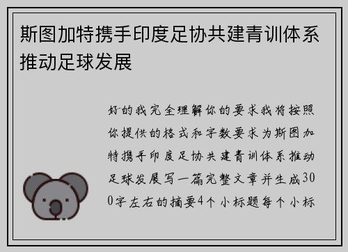 斯图加特携手印度足协共建青训体系推动足球发展 斯图加特携手印度足协共建青训体系推动足球发展